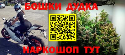 прущие крисы Кимры