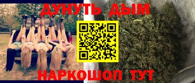 кокс Кингисепп