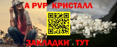кокс Кингисепп