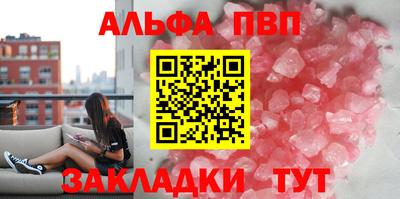кокс Кингисепп