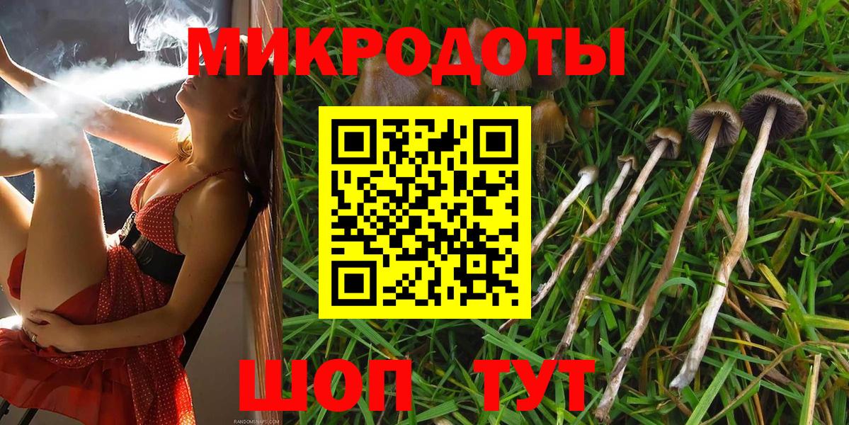 Киржач  Галлюциногенные грибы мухоморы  Вход с VPN 